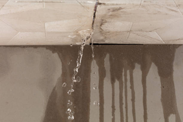Professional Water Damage Repair technician working in Comfort, TX